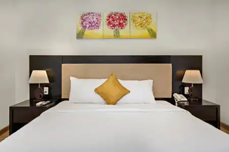 Golden Star - 49