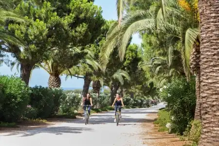 Masseria San Domenico - 45