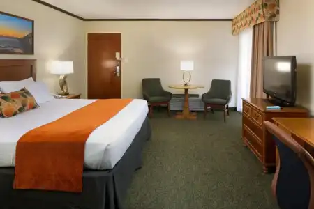 Best Western Seven Seas - 36