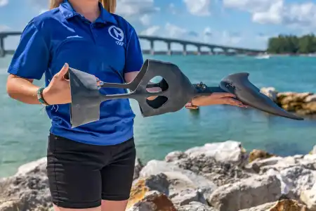 Dolphin Sands Clearwater Beach, an Ascend Collection - 24