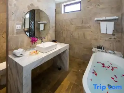 Hoi An Emotion Boutique Villa - 231