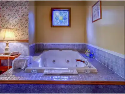 Blue Mountain Mist Country Inn & Spa - 125