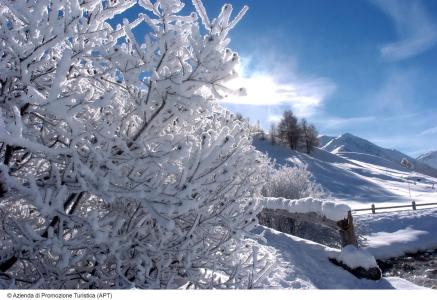 Galli's - Centro - 5