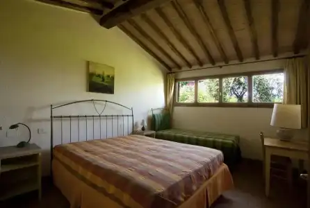 Podere il Pino - 144