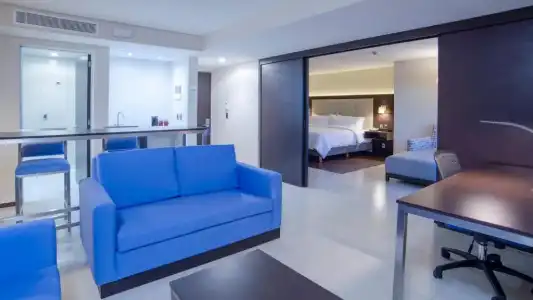 Holiday Inn Express Mexico Basilica by IHG - 65