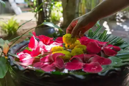 Samahita Retreat - 33