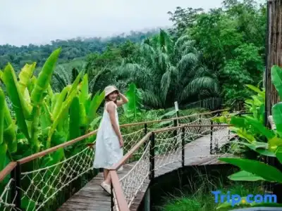 Khaosok Boutique Camps - 20