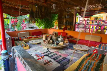 Bedouin Garden Village, Dive - 21