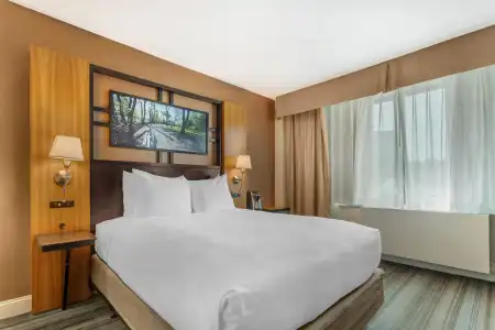 Best Western Queens Gold Coast - 42