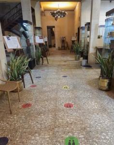 Gamaleya Boutique - 6