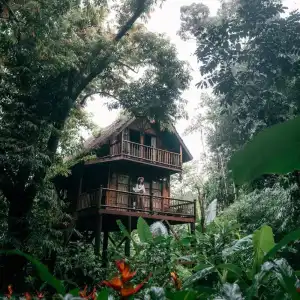 Our Jungle Camp - Eco Resort - 38
