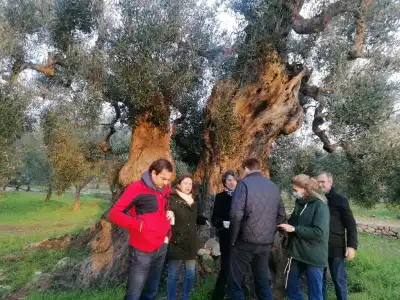 Agriturismo Salinola - 75