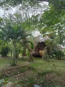 Ban Ban Bangalow - 15