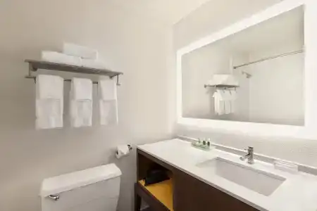 Holiday Inn Houston Intercontinental Airport by IHG - 58