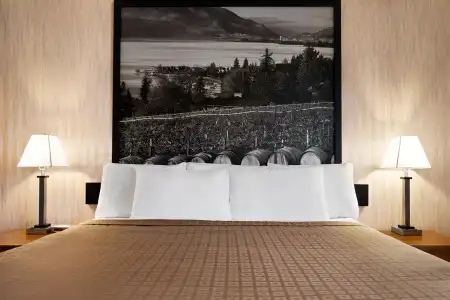 Quality Inn & Suites - 4