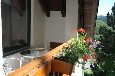 Pension Haus Diefenbach - 64
