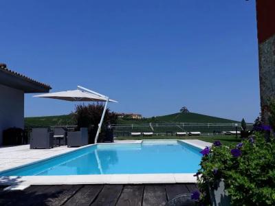 Red Wine Camere - 8