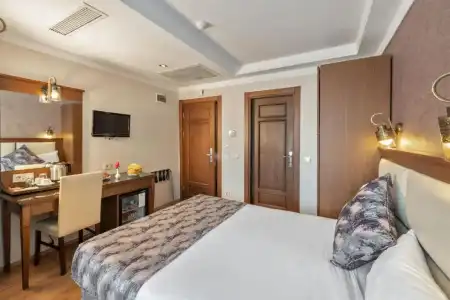 Aristocrat - 100