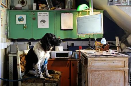 Hostel Malti Budget - 16