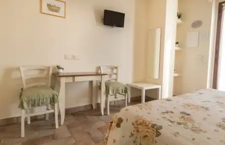 Rosa di Assisi - 65