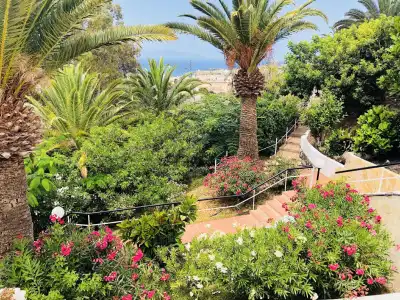 Regency Torviscas Apartments & Suites - 31