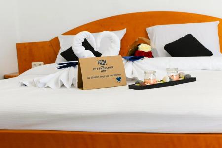 Offenbacher Hof - 16