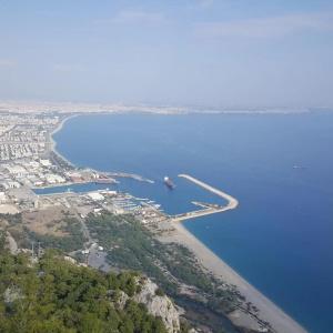 Kartal - 38