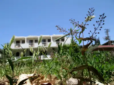 Eucalyptus Pension - 10