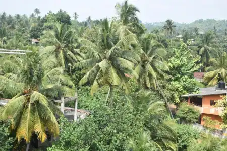 Aaradhya Mirissa - 38