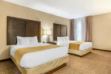 Best Western Lubbock West Inn & Suites - 4
