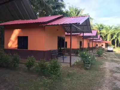 Khao Sok Evergreen House - 62
