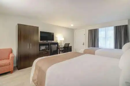 Quality Inn & Suites Lincoln I-93 - 4