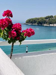 GEO & Art Boutique Himara - 120