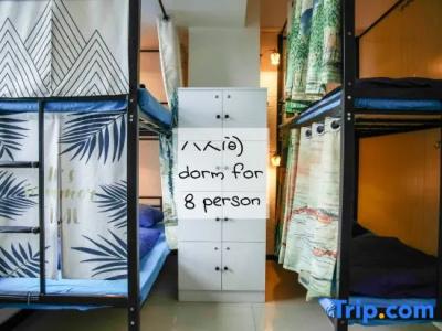 Only Cafe & Backpacker - 27