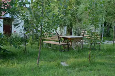 Qabala River Palace - 6