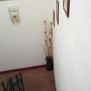 Il Casale di Nanni - 12