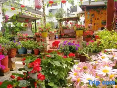 Yuhua Chunxiao Boutique Theme Inn - 89