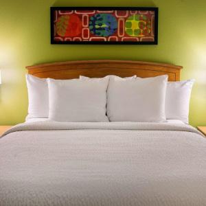 Sonesta Simply Suites Phoenix Scottsdale - 20