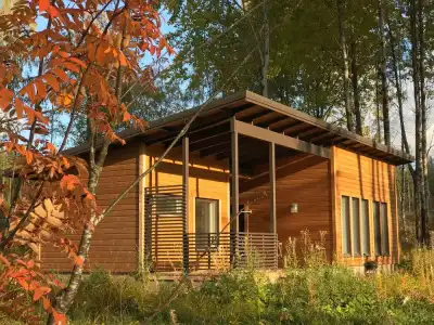 Wooddream - 10