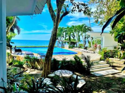White house bailan resort - 85