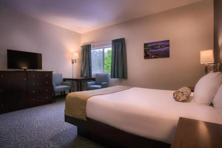 Sun & Ski Inn and Suites - 81