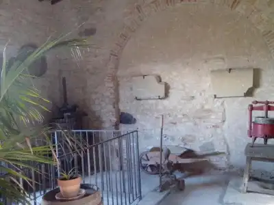Antico Borgo Frosini - 16