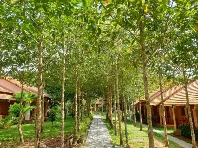 The Garden House Phu Quoc Resort - 132