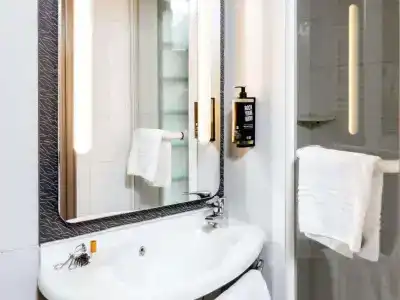 ibis Paris Gare Montparnasse 15eme - 20