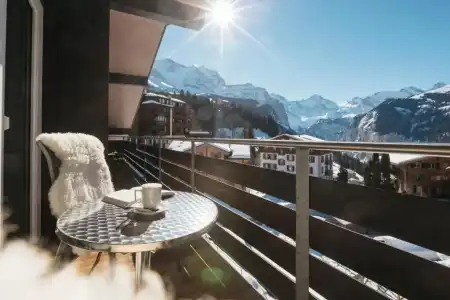 Alpenkräuter Bären - 63