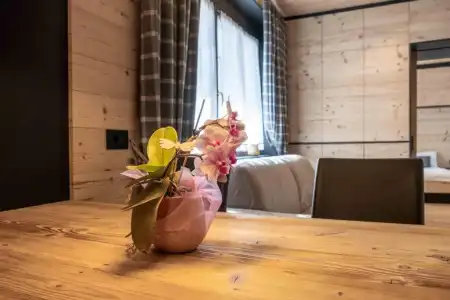 Residence Salvan - 83