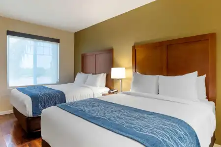 Comfort Inn & Suites near Ontario Airport - 75