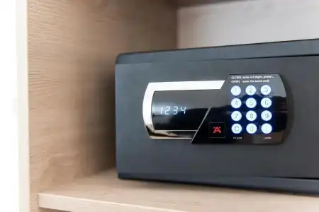 Amba - 31