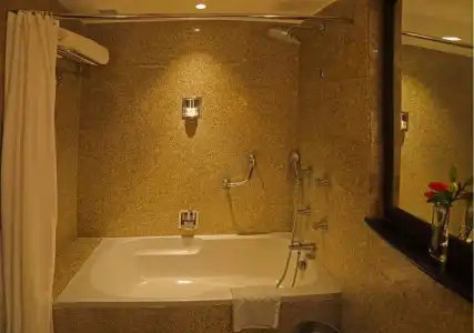 Eros New Delhi - 65