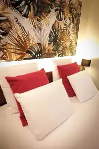 Mercure Perpignan Centre - 58